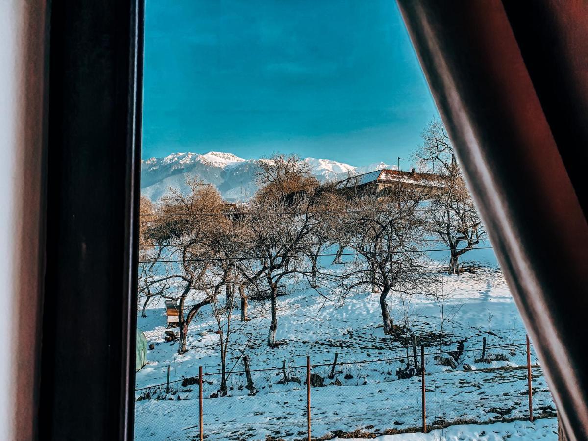Transylvania Mountain View Cdi Bran  Exterior foto